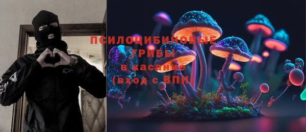 спайс Богданович