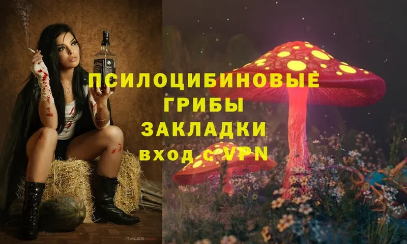 закладка  Кириллов  hydra ссылки  Псилоцибиновые грибы Magic Shrooms 